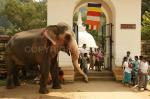 images/Fotos_SriLanka/23.Sri Lanka.jpg